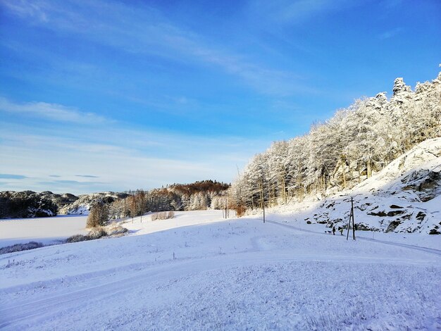 Krajobraz wzgórz pokrytych drzewami i śniegiem w słońcu i błękitne niebo w Larvik w Norwegii