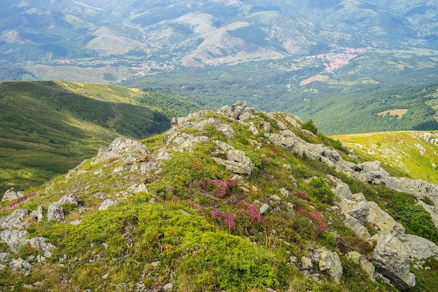 Krajobraz wzgórz pokrytych trawą i kwiatami z górami w słońcu na tle
