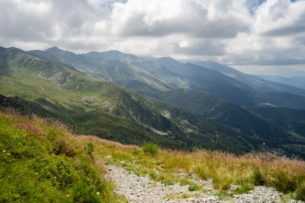 Krajobraz wzgórz pokrytych zielenią z górami skalistymi pod zachmurzonym niebem w tle