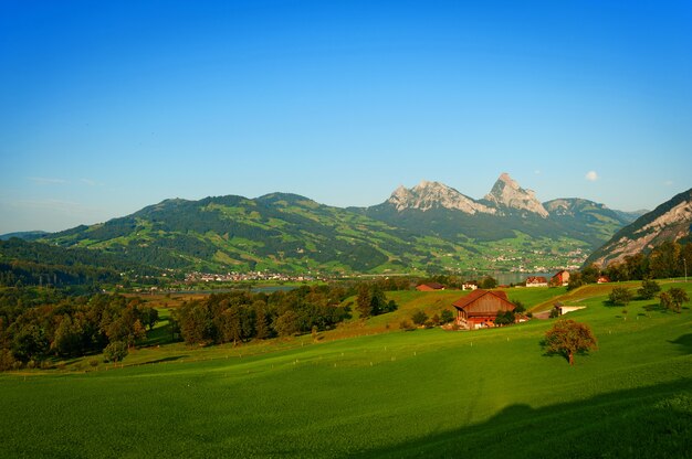 Krajobraz z dużą zieloną łąką górską w Alpach Szwajcarskich.