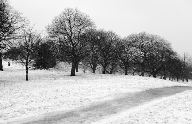 Krajobraz ze śniegiem w czerni i bieli