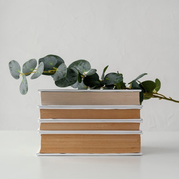 Książki stos z roślin i białym tłem