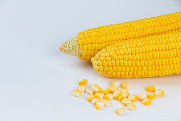 Bezpłatne zdjęcie kukurydza w strąku odizolowywającym z kukurydzanymi ziarnami od kukurydzanego pola na biel ścianie.