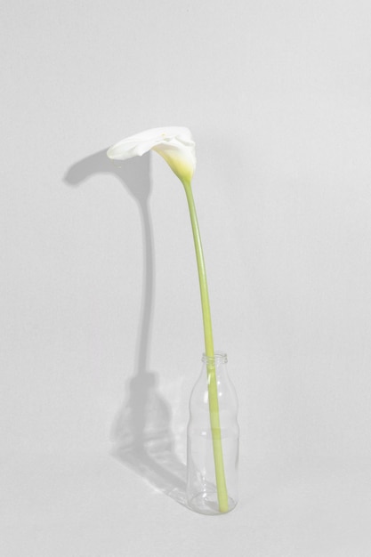 Kwiat w wazonie na stole