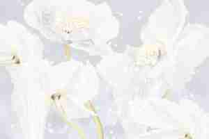 Bezpłatne zdjęcie kwiatowe tło, biały mak abstrakcyjna sztuka