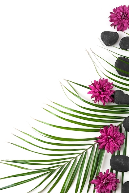 Bezpłatne zdjęcie kwiaty aster; czarny kamień spa i liści palmowych na białym tle
