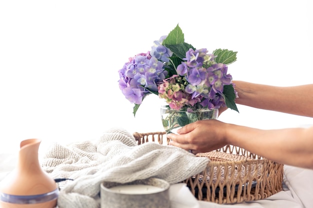 Bezpłatne zdjęcie kwiaty hortensji w wazonie w rękach kobiet na jasnym tle