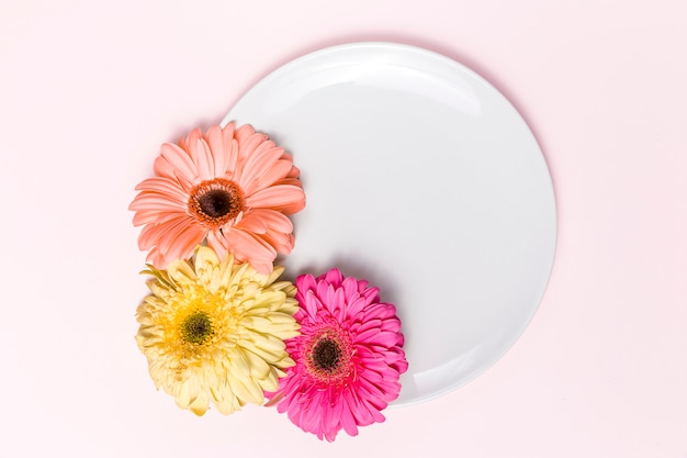 Bezpłatne zdjęcie kwiaty i talerz