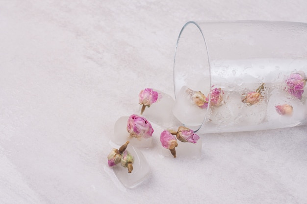 Kwiaty zamrożone w kostkach lodu na białej powierzchni.
