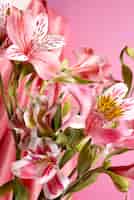 Bezpłatne zdjęcie Ładne lilie z różowym tłem