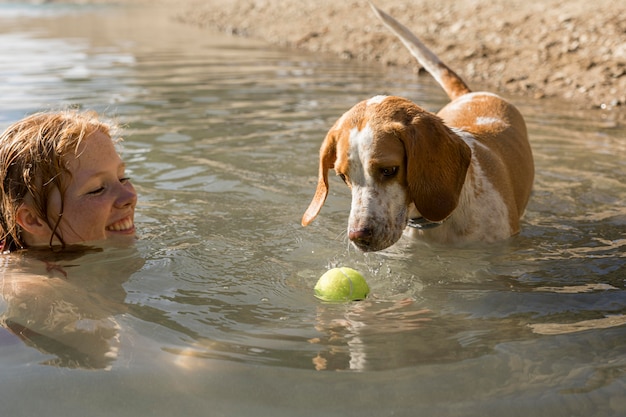 Ładny pies stojący w wodzie i patrząc na piłkę