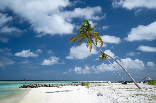 Ładny widok na białą plażę Malediwy?