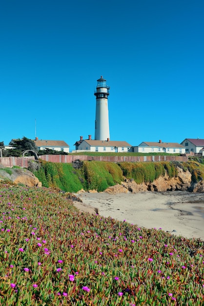 Bezpłatne zdjęcie latarnia pigeon point w big sur w kalifornii.