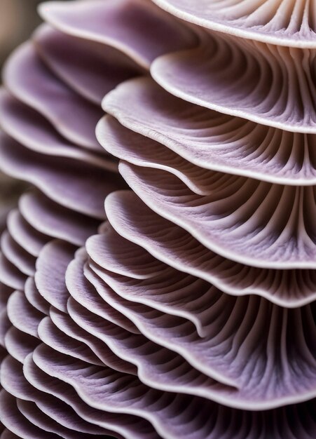 Lawendowe tło z teksturą grzybów