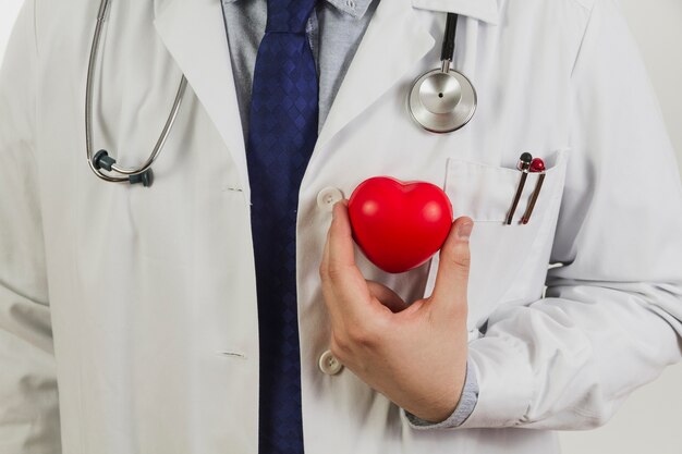 Lekarz pokazując plastikową serce