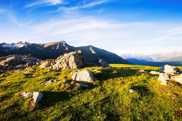 Bezpłatne zdjęcie letni widok łąk górskich w pyrenees