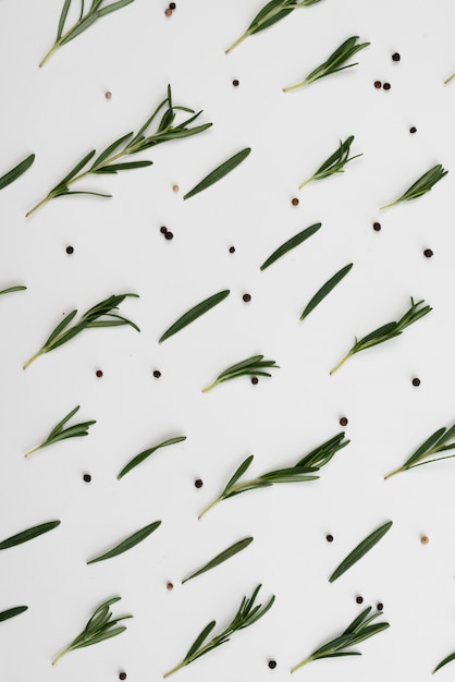 Bezpłatne zdjęcie liście oliwne rozłożone na stole