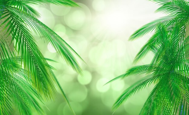 Liście z drzewa palmowego