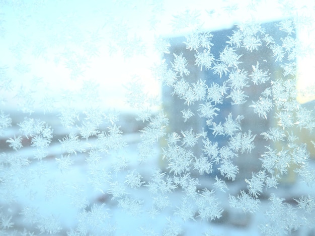 Lodowe wzory na oknie piękne loki i kryształy na szkle śnieg i ulica miasta