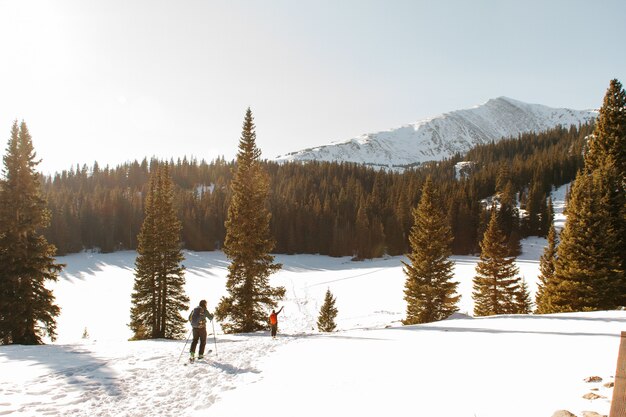 Ludzie chodzą na zaśnieżonym wzgórzu w pobliżu drzew z zaśnieżoną górą i czystym niebem