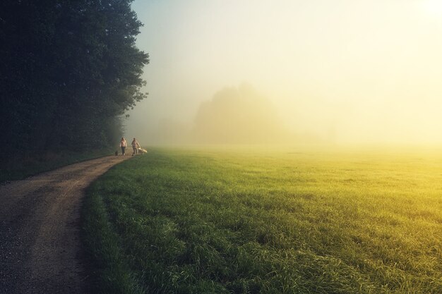 Ludzie chodzą na zielonej trawie w ciągu dnia