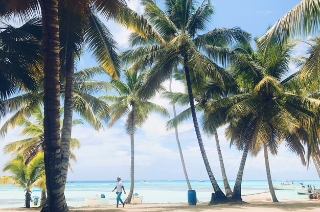Ludzie chodzą na złotej plaży z palmy przed turkusową wodą