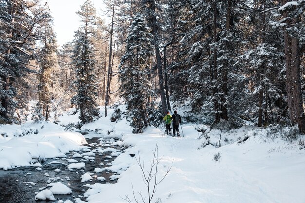 Ludzie spacerujący po zaśnieżonym lesie w ciągu dnia