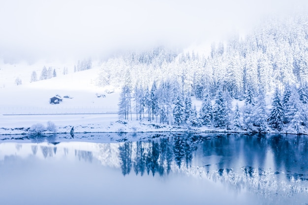 Magiczne zimowe jezioro Szwajcarii w centrum Alp otoczone lasem pokrytym śniegiem