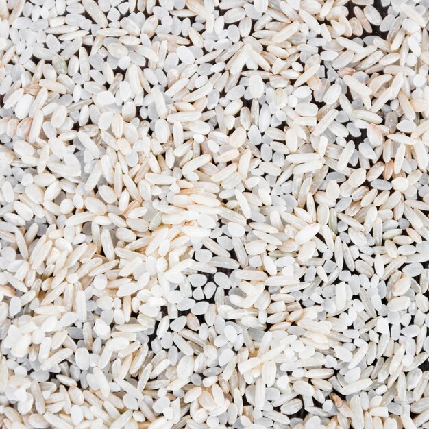 Makro niegotowane białego ryżu