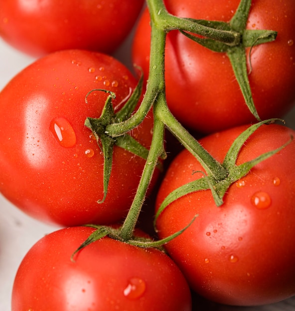 Makro pomidorów z kropli wody
