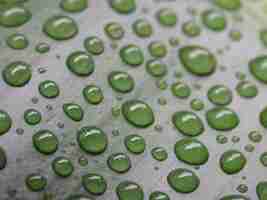 Bezpłatne zdjęcie makro zielony liść z kroplami wody