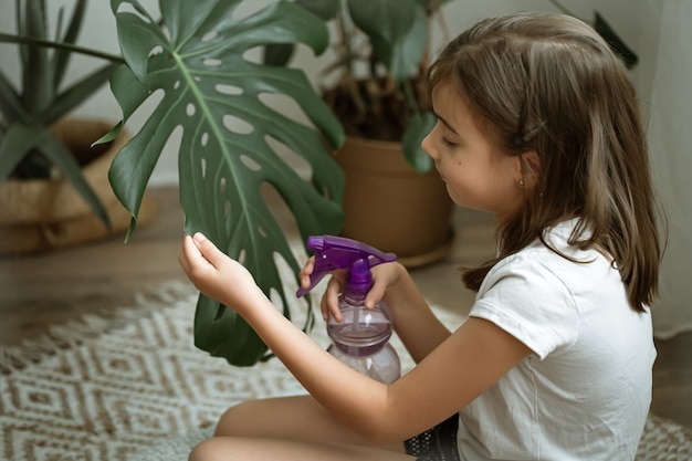 Bezpłatne zdjęcie mała dziewczynka spryskuje liście rośliny doniczkowej, opiekując się rośliną monstera.