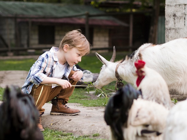Małe dziecko bawi się ze zwierzętami hodowlanymi