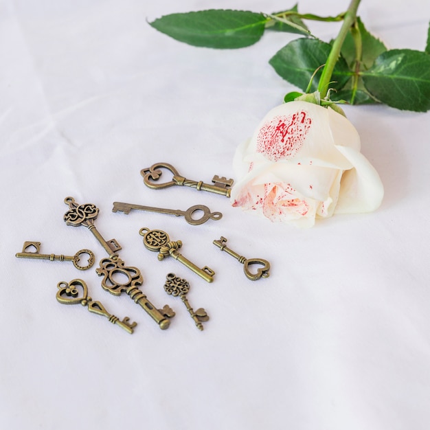 Malowana biała róża z małymi kluczami na stole