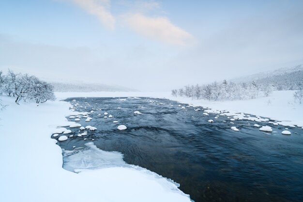 Malowniczy widok na zimową rzekę Grovlan z pokrytymi śniegiem drzewami w prowincji Dalarna w Szwecji