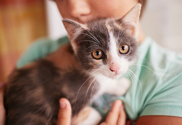 Mały chłopiec trzyma czarno-białe kitty na ramieniu