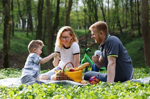 Mama, tata i mały chłopiec smakują jabłka siedzące na trawie podczas pikniku w parku
