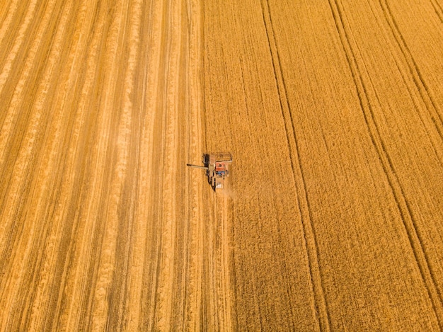 Maszyna do zbioru pracująca w polu Widok z góry z drona Kombajn zbożowy jazda maszyną rolniczą w polu