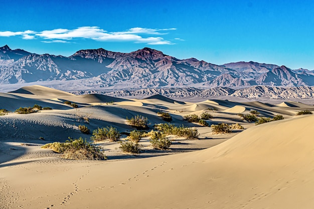 Bezpłatne zdjęcie mesquite sand dunes w death valley national park w kalifornii, usa