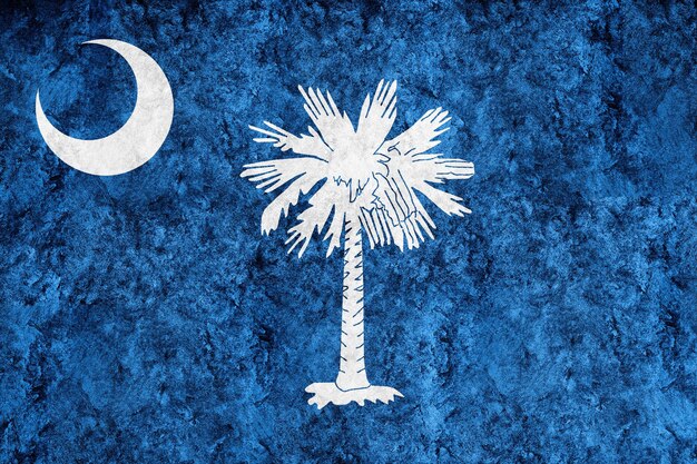 Metaliczna flaga stanu Karolina Południowa, tło flagi Karoliny Południowej Metaliczna tekstura