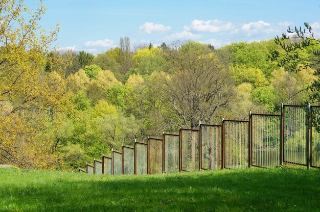 Metalowe ogrodzenie w ogrodzie z drzewami w ścianie