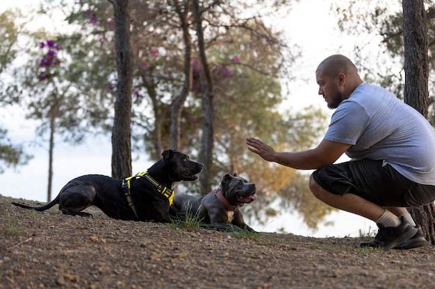 Mężczyzna na zewnątrz podczas treningu psów z dwoma psami