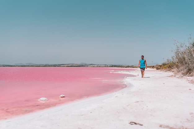 Bezpłatne zdjęcie mężczyzna spacerujący wzdłuż plaży w pobliżu różowego morza?