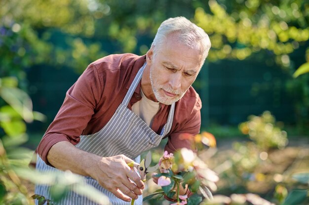 Mężczyzna wyglądający na zajętego podczas pracy w ogrodzie
