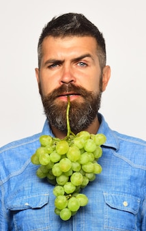 Mężczyzna z brodą trzyma kiść zielonych winogron na białym tle winiarz