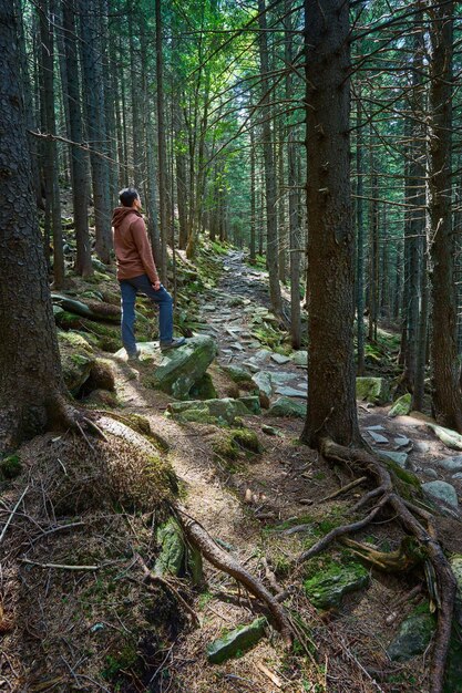 Mężczyzna ze sprzętem do wędrówek spaceruje po lesie