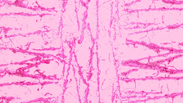 Bezpłatne zdjęcie minimalne monochromatyczne różowe tło