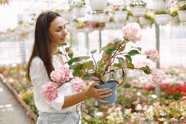 Młoda brunetka kobieta wisi garnek z rośliną w gardenhose. Kobieta ubrana w białą bluzkę