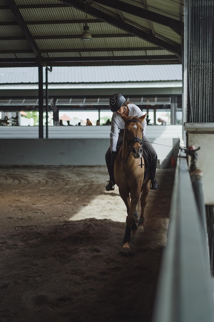 Młoda Kobieta Trenuje W Jeździe Konnej Na Arenie. Młoda Kobieta Kaukaski W Formalnej Odzieży Jazda Konna Przez Piaszczystą Arenę. Koń Rasowy Do Sportów Jeździeckich. Sportsmenka Na Koniu