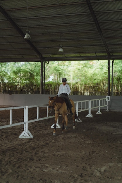 Bezpłatne zdjęcie młoda kobieta trenuje w jeździe konnej na arenie. młoda kobieta kaukaski w formalnej odzieży jazda konna przez piaszczystą arenę. koń rasowy do sportów jeździeckich. sportsmenka na koniu